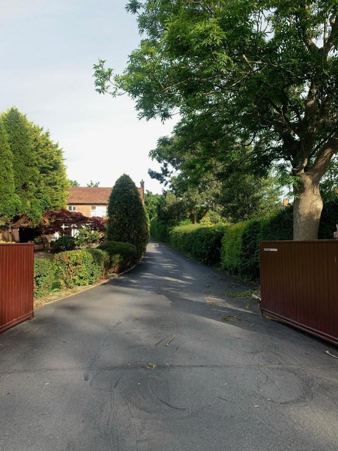 Ashfield Bed & Breakfast Belfast Exterior photo