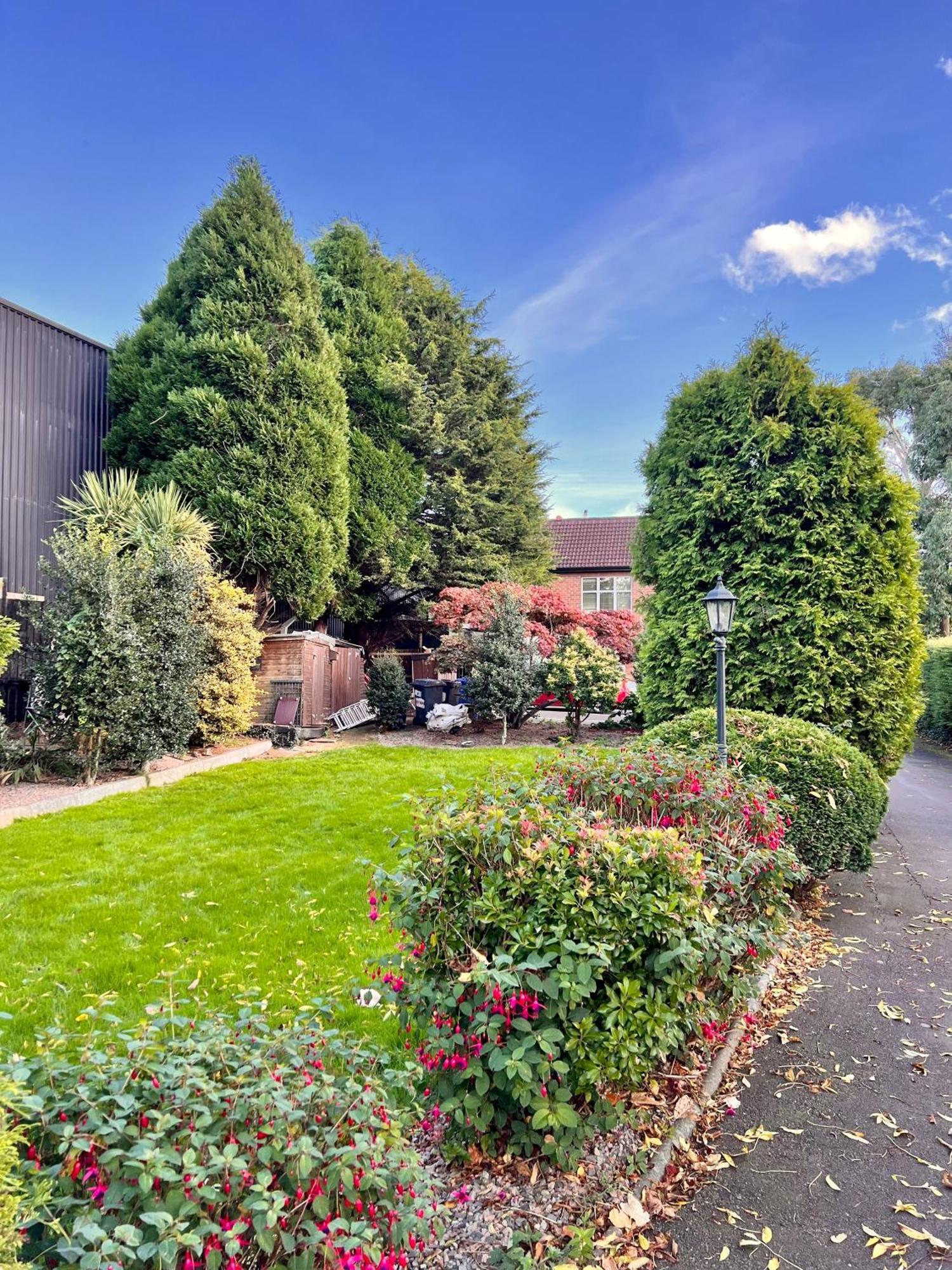 Ashfield Bed & Breakfast Belfast Exterior photo